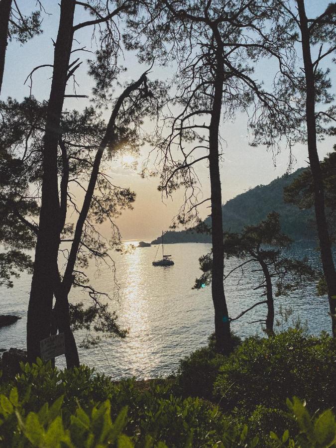 Kabak Uetopya Kamp Faralya Eksteriør bilde